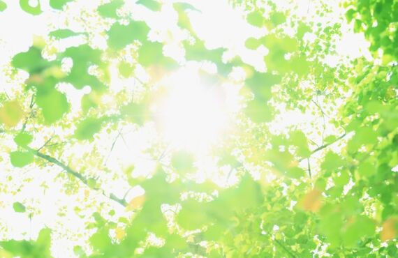 ゴミ屋敷を掃除してほしい方はこたらまで。ハウスクリーニング、遺品整理承ります。